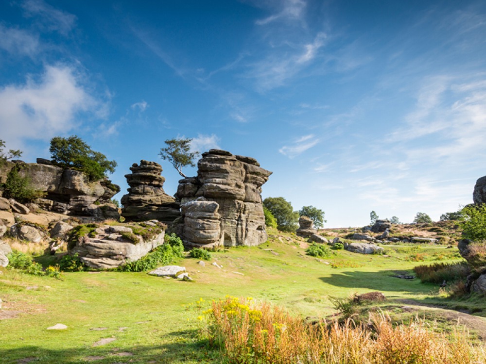 The Best National Trust Walks for Autumn including Cragside, Allen